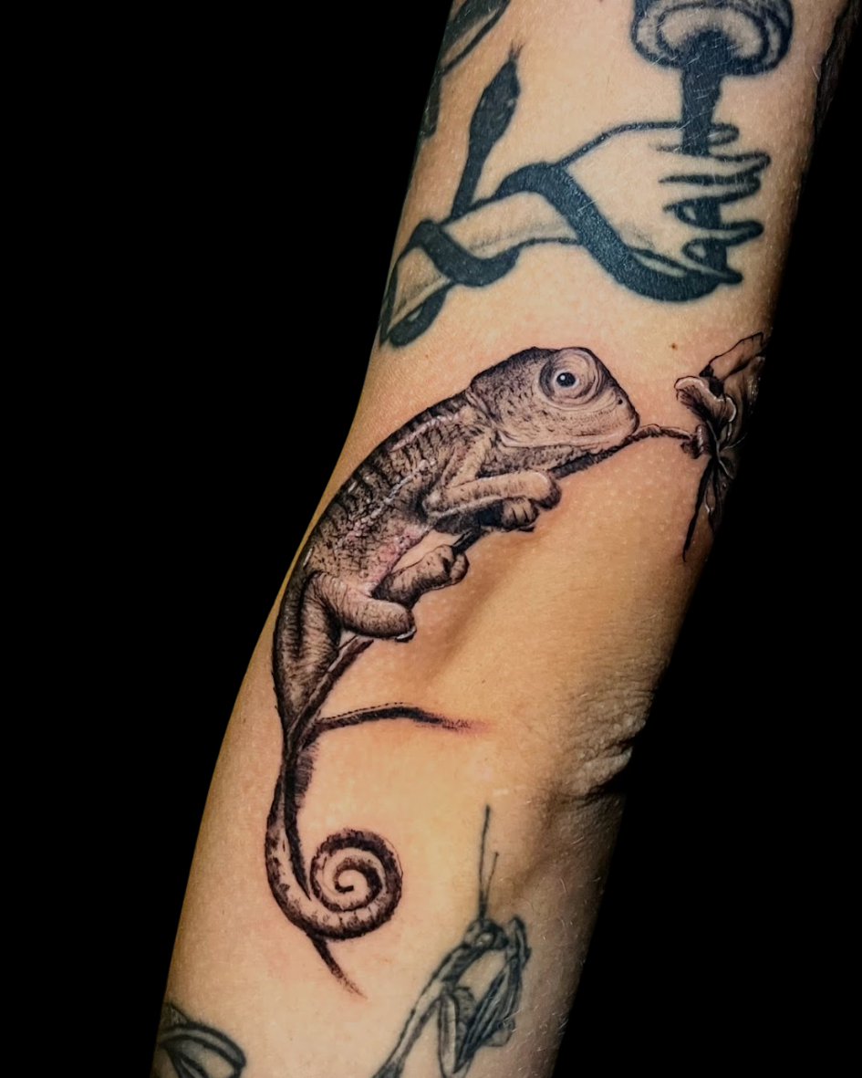 Tatuagem de um camaleão em estilo fine line (linha fina) e micro-realismo. A arte em preto e cinza mostra o pequeno réptil em um galho, com a cauda em espiral, como parte de um projeto de patchwork tattoo no braço.