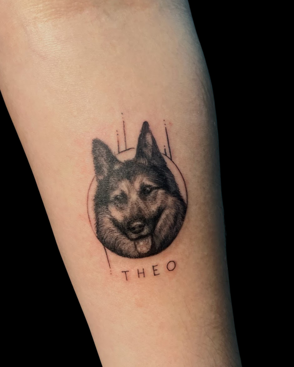 Tatuagem de homenagem para pet no antebraço, com o retrato de um cachorro Pastor Alemão em micro-realismo preto e cinza. A arte circular inclui o nome Theo abaixo, um design de tattoo de animal de estimação.